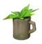 Potted Plant