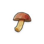 Fungal Cap