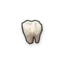 Human Tooth